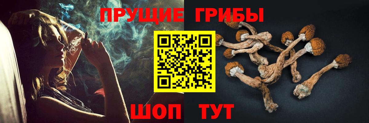 Псилоцибиновые грибы Cubensis  Вход с VPN  Псилоцибиновые грибы Cubensis  Южноуральск 